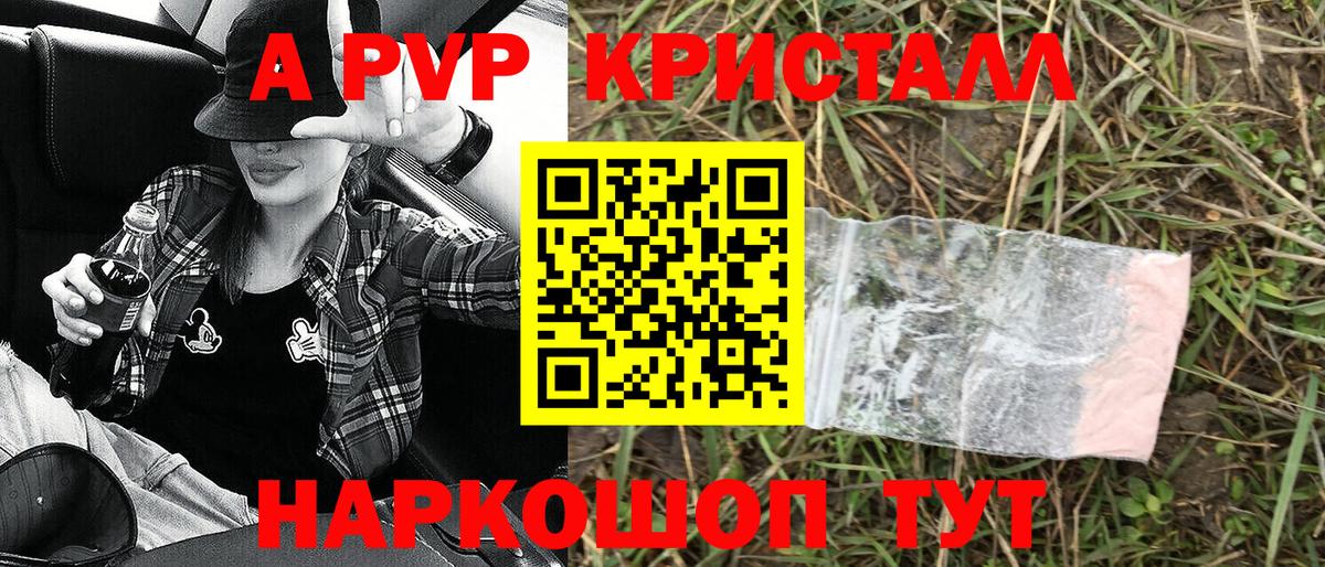 Альфа ПВП СК Новокубанск