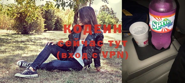 гидра Няндома