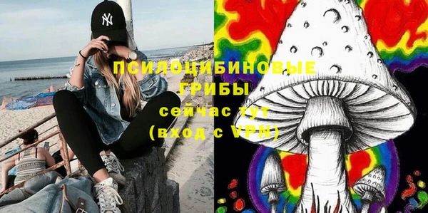 дживик Осташков