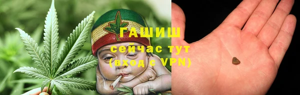 гидра Няндома