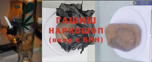 гидра Няндома