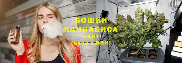 дживик Осташков