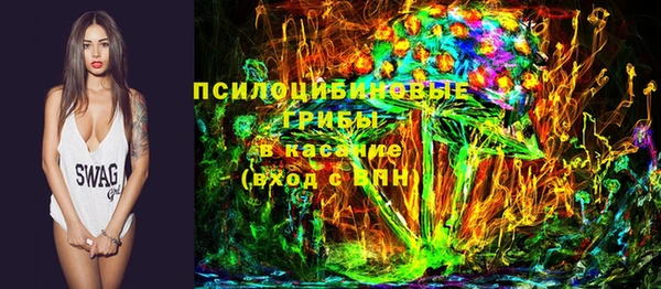 дживик Осташков