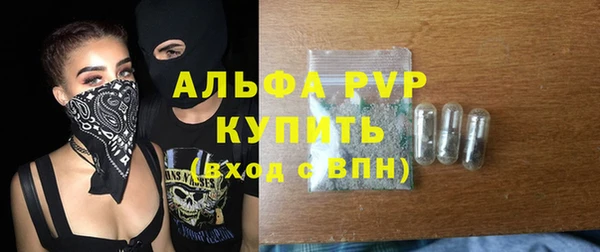 дживик Осташков