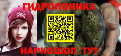 стаф Гай