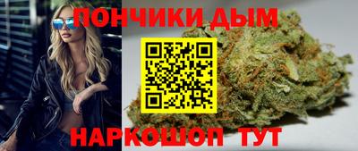 стаф Гай