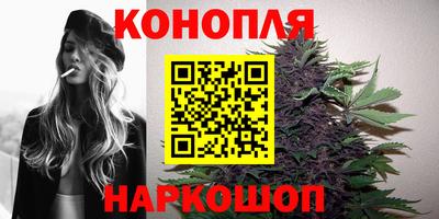 стаф Гай