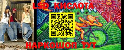 стаф Гай