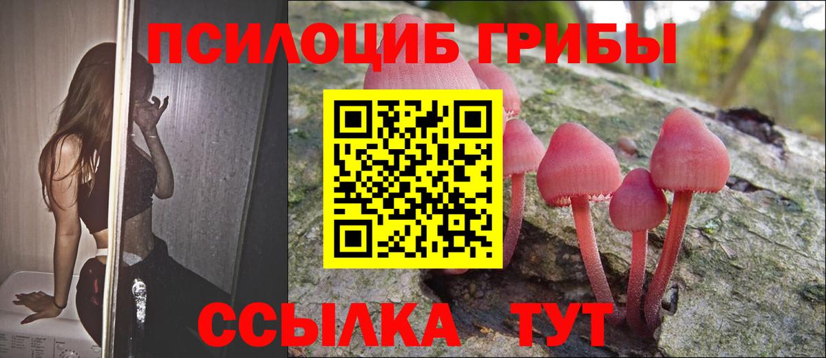 Псилоцибиновые грибы MAGIC MUSHROOMS  Вход с VPN  Псилоцибиновые грибы мицелий  наркотики  Новокубанск 